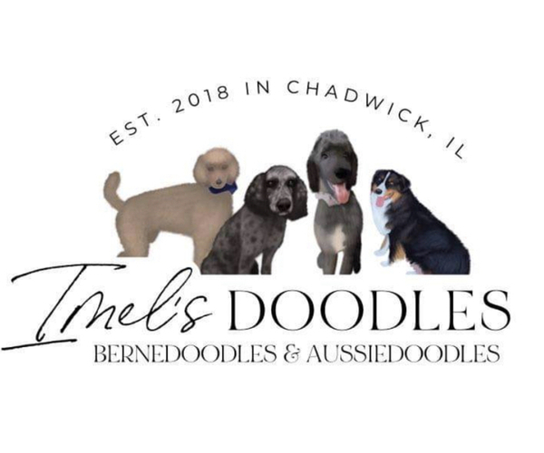 Medium Photo #1  Breeder Profile in CHADWICK, IL, USA
