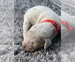 Small #23 Breeder Profile image