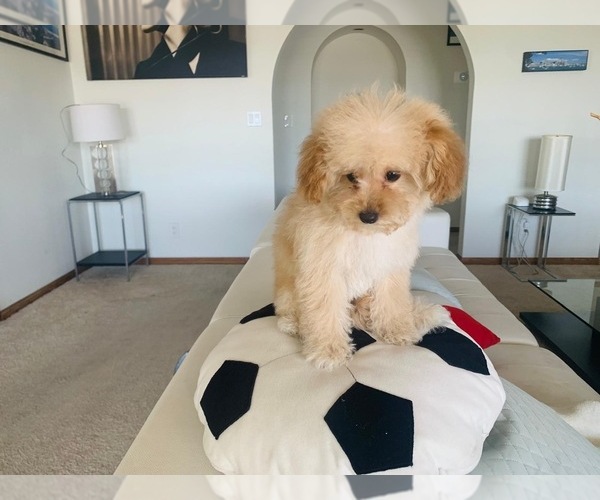 Medium Photo #10  Breeder Profile in VICTORVILLE, CA, USA