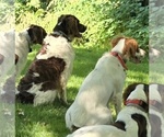 Small #1 Breeder Profile image