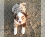 Small Photo #4  Breeder Profile in SANDY VALLEY, NV, USA