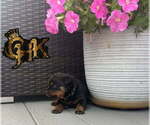 Small #1 Breeder Profile image