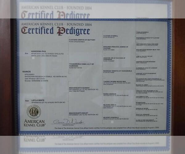 Medium Photo #31  Breeder Profile in ONEIDA, TN, USA