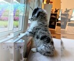 Small #2 Breeder Profile image