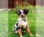 Small #22 Breeder Profile image