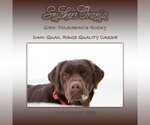 Small #1 Breeder Profile image
