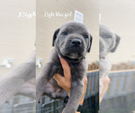 Small #7 Breeder Profile image