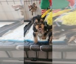 Small #316 Breeder Profile image
