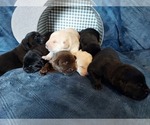 Small breeder photo