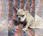 Small #2 Breeder Profile image