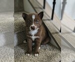 Small #4 Breeder Profile image
