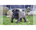 Small #11 Breeder Profile image
