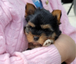Small #17 Breeder Profile image
