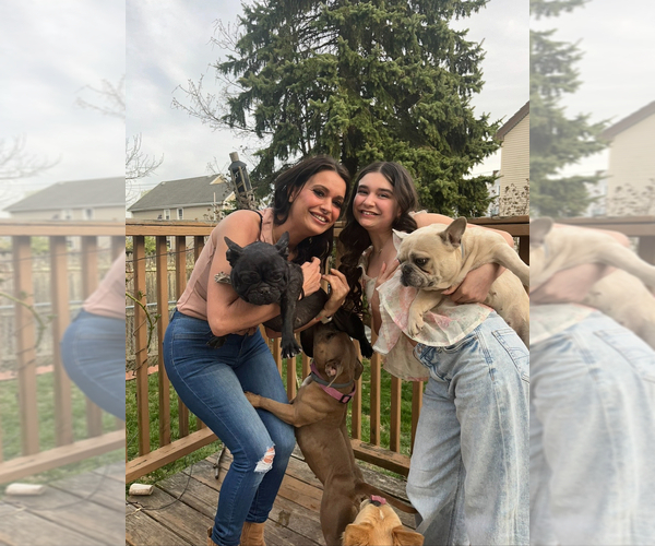 Medium Photo #7  Breeder Profile in NEW BEDFORD, MA, USA