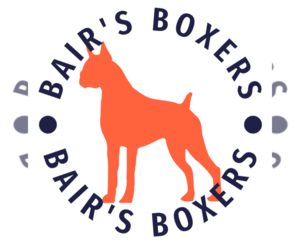 Boxer Dog Breeder near NEWTON, IA, USA