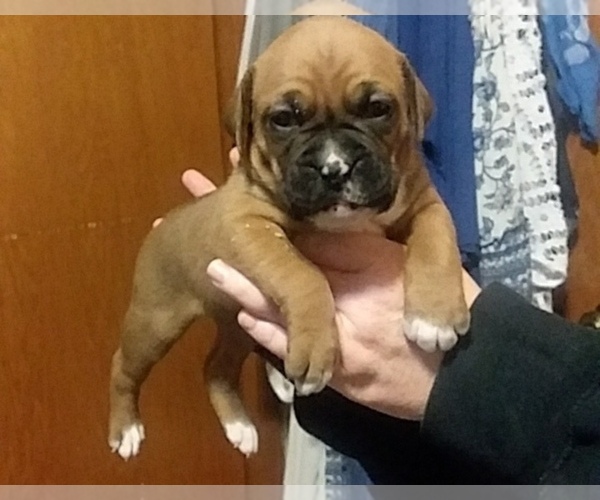 Medium Photo #1  Breeder Profile in HELENVILLE, WI, USA