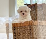 Small #3 Breeder Profile image