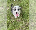 Small #6 Breeder Profile image