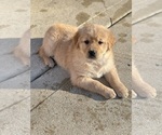 Small #3 Breeder Profile image
