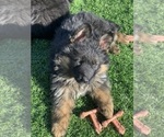Small #150 Breeder Profile image