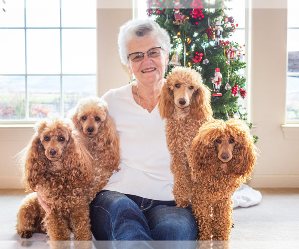 Medium Photo #1  Breeder Profile in EAGLE POINT, OR, USA