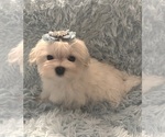 Small #3 Breeder Profile image