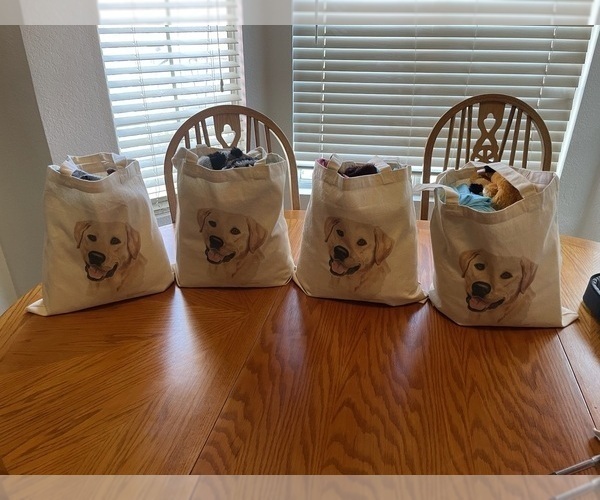 Medium Photo #1  Breeder Profile in MORENO VALLEY, CA, USA