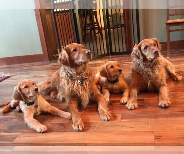 Medium Photo #5  Breeder Profile in COULEE CITY, WA, USA