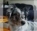 Small #18 Breeder Profile image