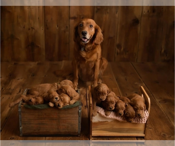 Medium Photo #1  Breeder Profile in CLEVELAND, WI, USA