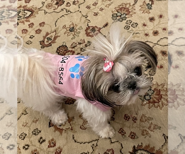 Medium Photo #1  Breeder Profile in STEWART, MS, USA