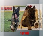 Small #11 Breeder Profile image