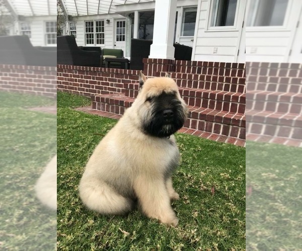 Medium Photo #1  Breeder Profile in HASTINGS, MI, USA