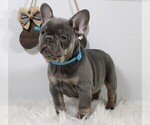 Small #14 Breeder Profile image