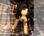 Small #13 Breeder Profile image