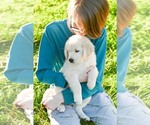 Small #16 Breeder Profile image