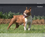 Small #3 Breeder Profile image