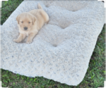 Small #2 Breeder Profile image