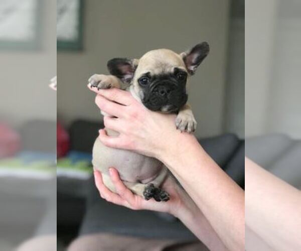 Medium Photo #1  Breeder Profile in YUCAIPA, CA, USA