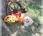 Small #88 Breeder Profile image