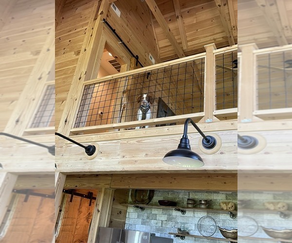 Medium Photo #52  Breeder Profile in HORTENSE, GA, USA