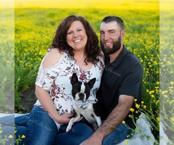 Medium Photo #1  Breeder Profile in LAMAR, MO, USA