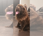 Small #75 Breeder Profile image