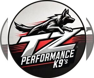 Goldendoodle Dog Breeder near LAS VEGAS, NV, USA