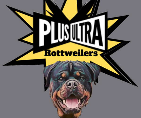 Medium Photo #1  Breeder Profile in CLEBURNE, TX, USA