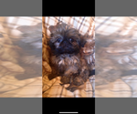 Small #15 Breeder Profile image