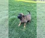 Small #6 Breeder Profile image