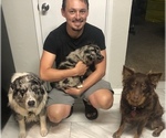 Small #48 Breeder Profile image