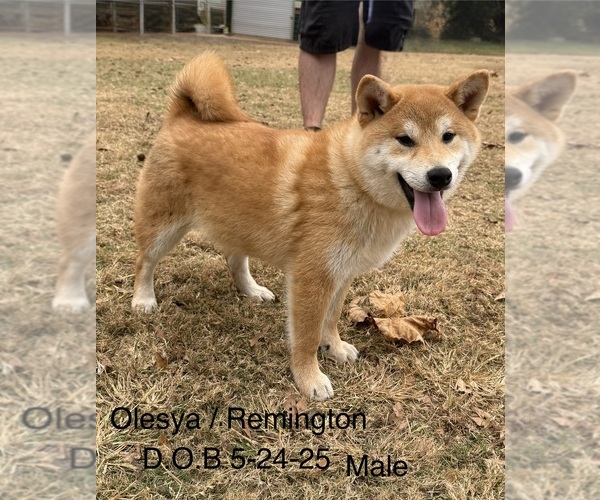 Medium Photo #20  Breeder Profile in THOMASTON, GA, USA