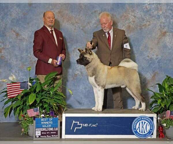 Medium Photo #1  Breeder Profile in PICKENS, SC, USA